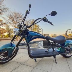 Z45P Harley Roller Chopper Elektroroller Mangosteen
